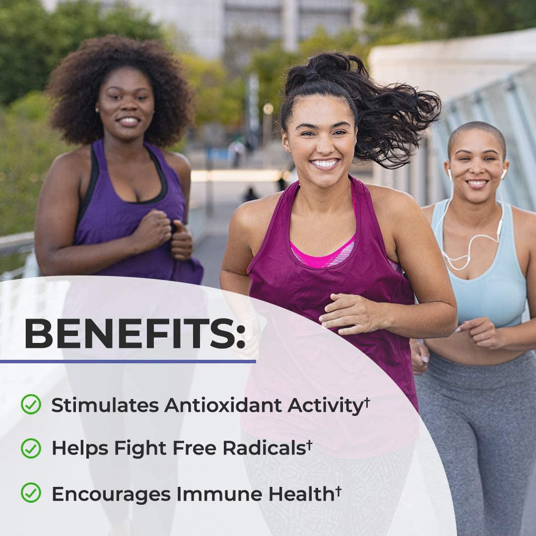 Black Elderberry Gummies | 60 Count | with Zinc and Vitamin C | Vegan, Non-GMO, Gluten Free Extract for Adults | Berry Flavor