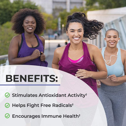 Black Elderberry Gummies | 60 Count | with Zinc and Vitamin C | Vegan, Non-GMO, Gluten Free Extract for Adults | Berry Flavor